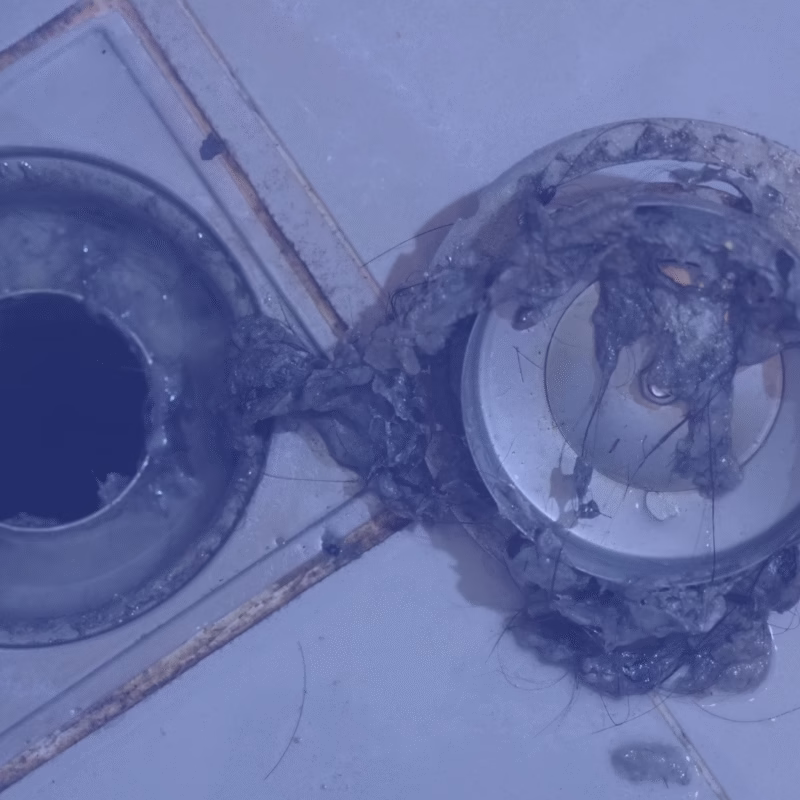 clogged drains