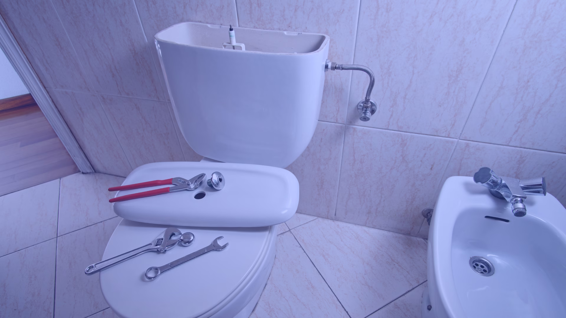 Toilet Leaks: The Hidden Water Wasters in Sydney Homes